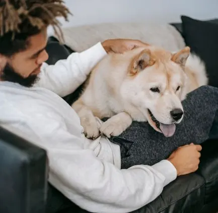A man on a sofa scratches the head of his fluffy cream dog