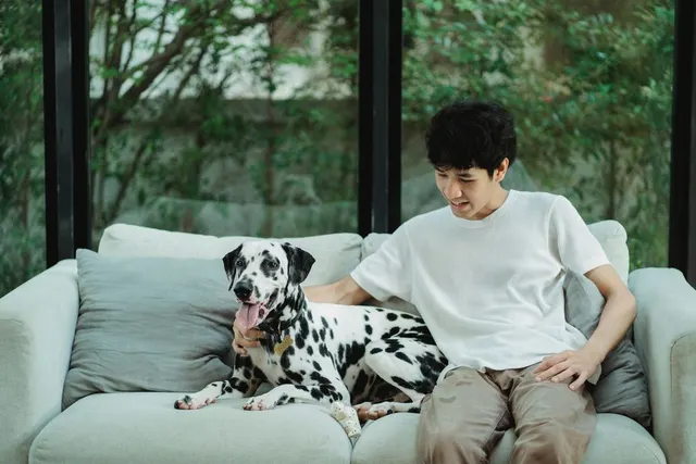 A young man relaxes on a sofa next to his dalmatian