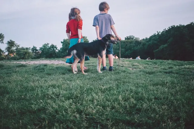 Two children walk a black dog across a grassy field