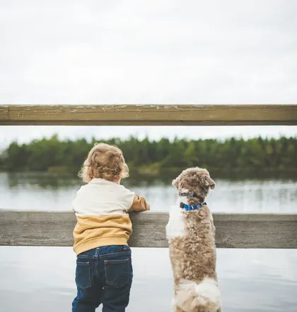A toddler and a fluffy dog look out over a lake from a dock